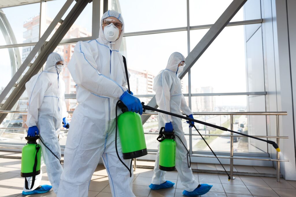 Expert mold remediation team removing Aspergillus Penicillium contamination from a home.