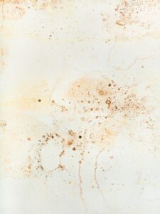 Black mold growth on a wall due to water damage in a residential home.